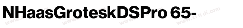 NHaasGroteskDSPro 65字体转换 NHaasGroteskDSPro 65字体转换